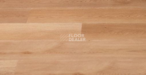 Кварцвиниловые полы Vinilpol Click 5мм 7898-EIR Дуб Верона фото 1 | FLOORDEALER